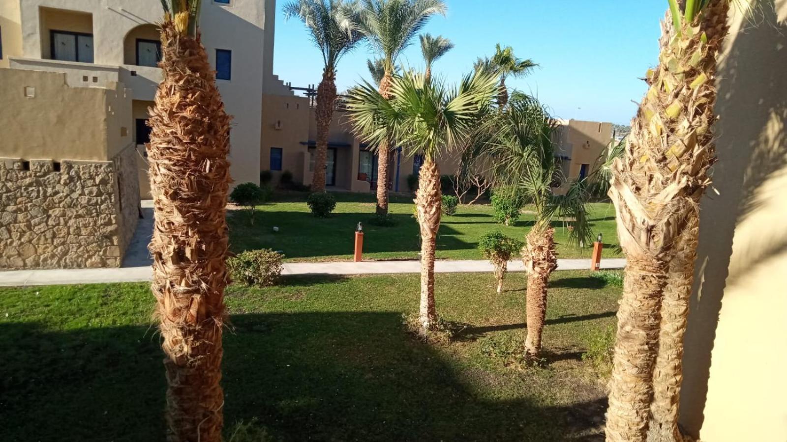Marina Lodge At Port Ghalib Extérieur photo